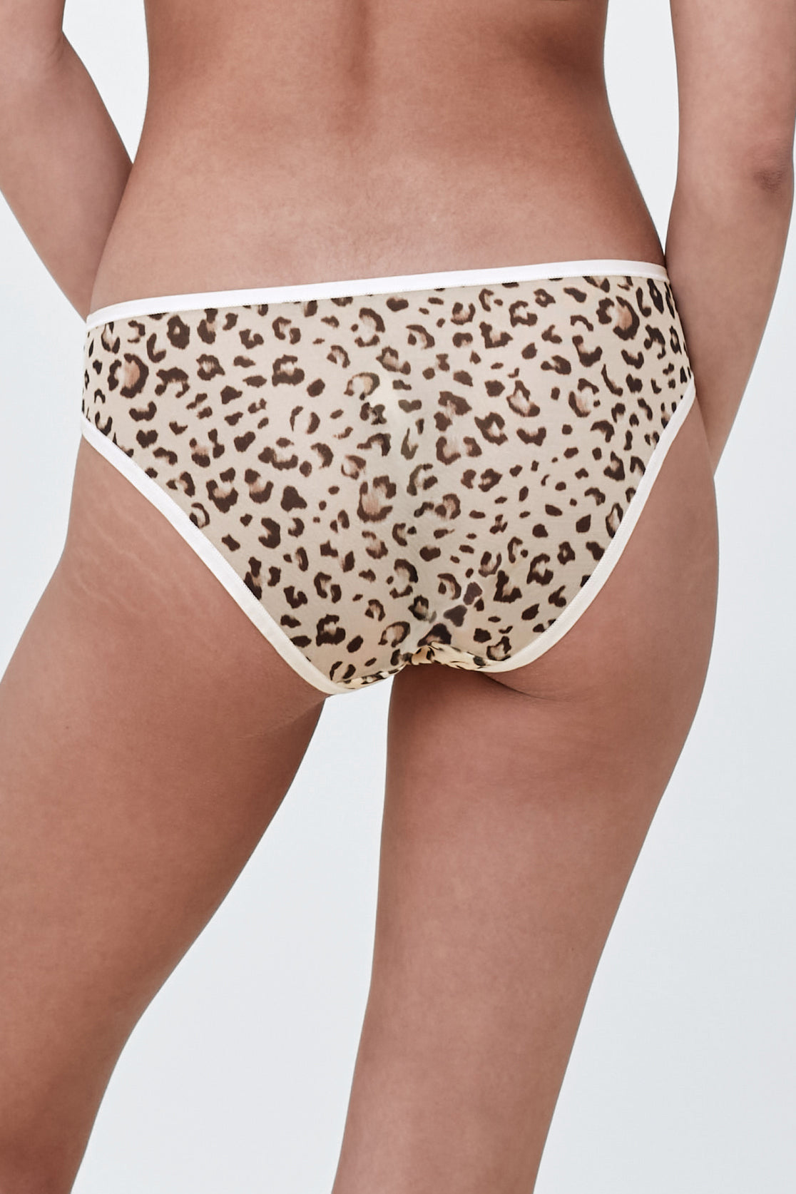 Spellbound Mesh Bikini 3-Pack